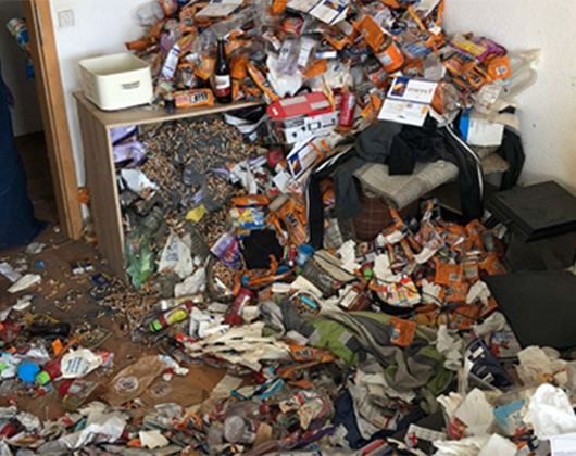 Kundenbild klein 7 Wohnungs-, Haus- und Kellerräumung DER TRANSPORTER
