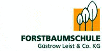 Kundenbild groß 2 Forstbaumschule Güstrow Leist & Co. KG