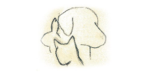 Kundenlogo von Großmann Jörn Dr. Tierarztpraxis
