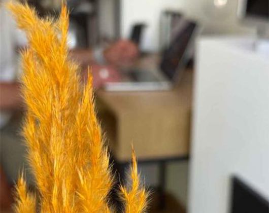 Kundenfoto 3 SEO Navigator Rostock