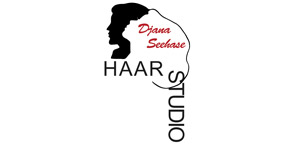 Kundenlogo von Haarstudio Djana Seehase