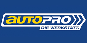 Kundenlogo von Peters Freie Kfz-Werkstatt