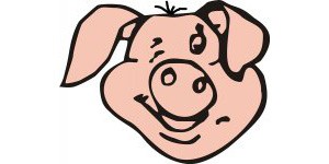 Kundenlogo von Fleischerei Prüter GmbH