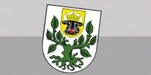 Kundenlogo von Stadt Neubukow