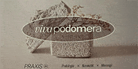 Kundenlogo Viva Podomera Kosmetikstudio