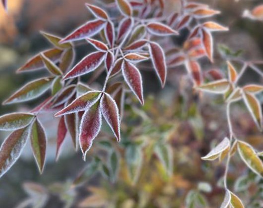 Kundenbild groß 1 Suska Meyer-Landrut