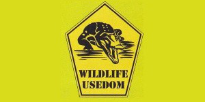 Kundenlogo von Wildlife Usedom
