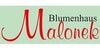 Kundenlogo von Blumenhaus Malonek Friedhofsgärtnerei