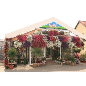 Bild von Blumen-Ortel Blumenhaus, Floristik, Gärtnerei
