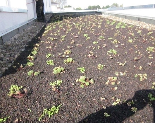 Kundenbild groß 3 Dachdeckerbetrieb Nietosdateck Inh. Marko Spitzenberg Natursteinarbeiten