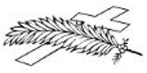 Kundenlogo von Bestattungen Lehmann Kundenlogo von Bestattungen Lehmann