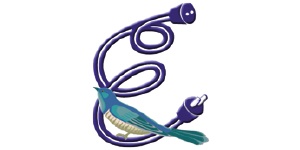 Kundenlogo von Elektro-Kuckuck Meisterbetrieb Elektroinstallation