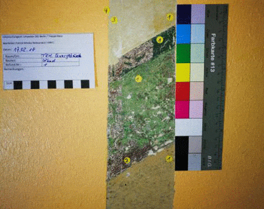 Kundenbild groß 1 MV-Malermeister Patrick Wioska