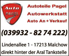 Anzeige Auto Pagel