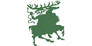 Kundenlogo von Hubertus Apotheke