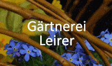 Kundenlogo von Leirer Gerhard Friedhofgärtnerei