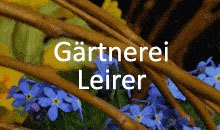 Kundenlogo von Leirer Gerhard Friedhofgärtnerei Kundenlogo von Leirer Gerhard Friedhofgärtnerei