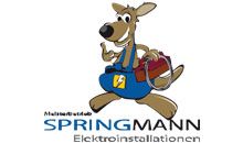Kundenlogo von Springmann Dominic Elektro