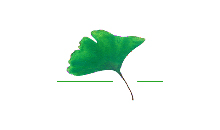 Kundenlogo von Brüderlin Silvia Heilpraktikerin