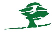 Kundenlogo von Dieter Belz Physikalische Therapie