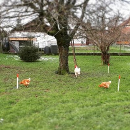 Kundenbild klein 2 Ortmann und Partner Ingenieurbüro für Vermessung