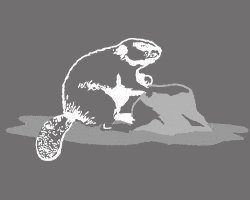 Kundenlogo Riedlinger-Natursteinwerk GmbH