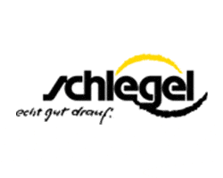 Kundenlogo Autohaus Max Schlegel GmbH & Co. KG