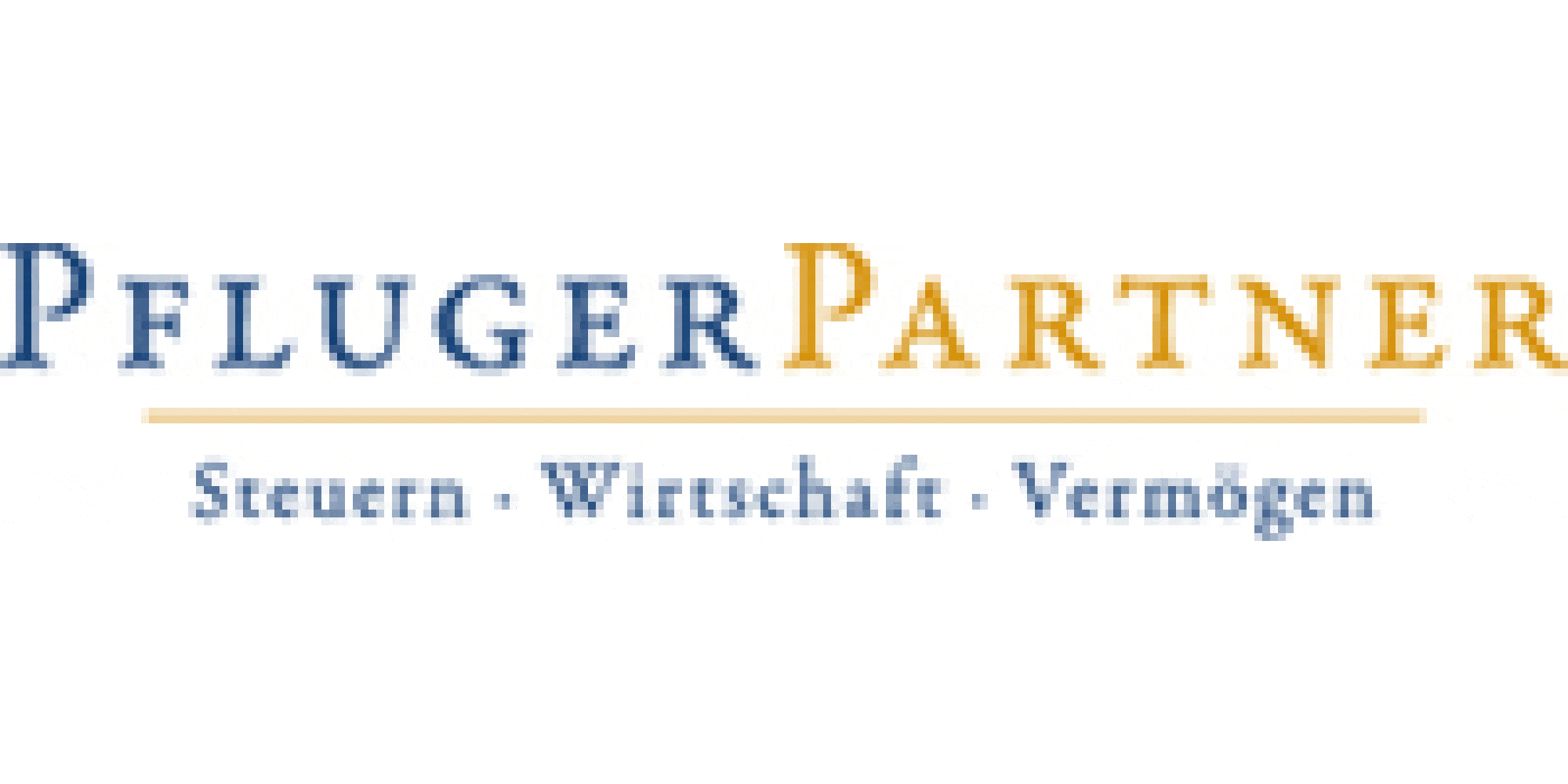 Kundenlogo von Pfluger Schroff & Collegen Steuerberatungsgesellschaft mbH & Co. KG