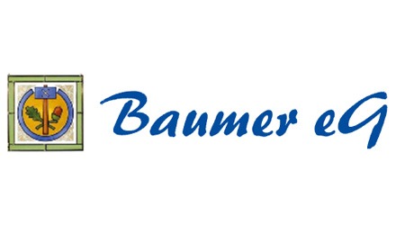 Kundenlogo von Baumer e.G. Ofen- und Kaminbau,  Fliesenleger