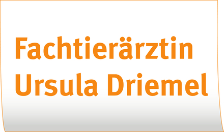 Kundenlogo von Driemel GmbH