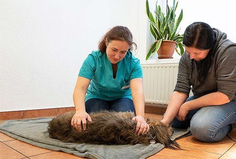Kundenbild groß 3 Tierärzte-Team in Ludwigsfelde S.Weisel