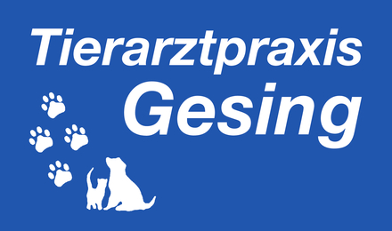 Kundenlogo von Gesing Holger + Bettina Tierarztpraxis