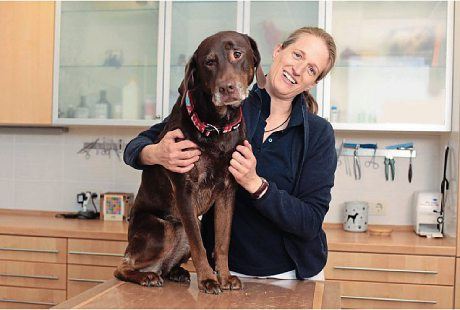 Kundenfoto 1 Tanja Krüger Tierarztpraxis