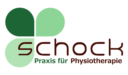 Kundenlogo von Schock Praxis für Physiotherapie