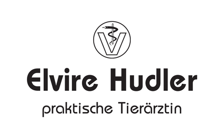 Kundenlogo von Hudler Elvire