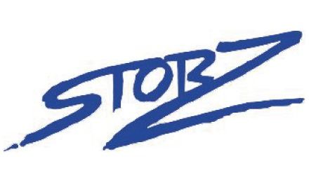 Kundenlogo von Storz Betonbohren und -sägen GmbH