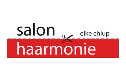 Kundenlogo von Friseur Salon Harmonie