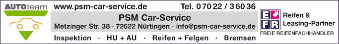 Anzeige Reifen PSM Car-Service