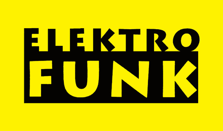 Kundenlogo von Elektro Funk GmbH