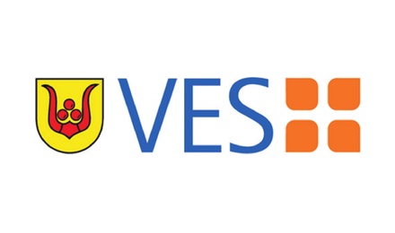 Kundenlogo von VES GmbH