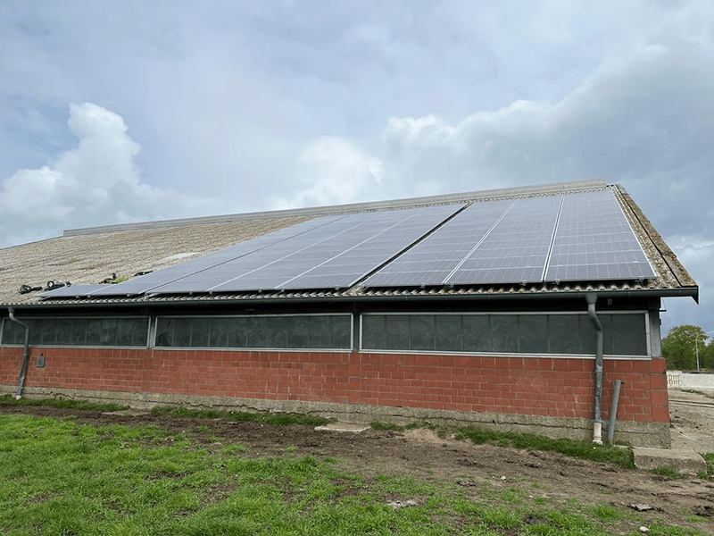 Thomas Klömmer aus Erfde