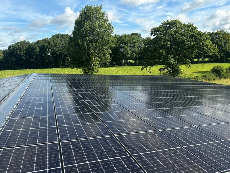 Thomas Klömmer aus Erfde