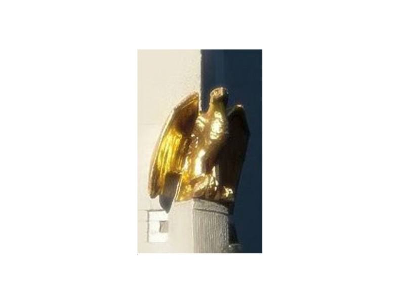 Adler Apotheke Andrea Braas e.K. in Handewitt - Logo