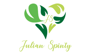 Julian Spinty Ernährungsberatung Flensburg in Flensburg - Logo