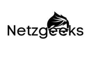 Netzgeeks in Munkbrarup - Logo