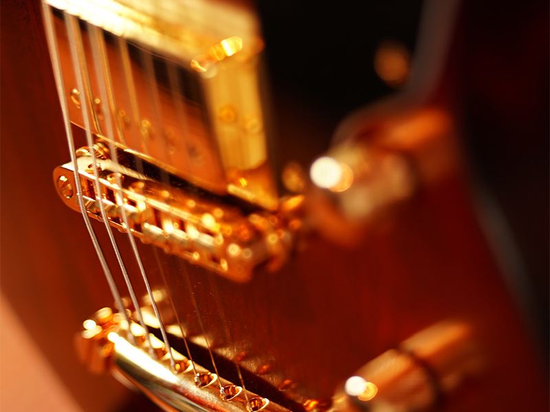 D.O.G. Custom Guitars aus Wees