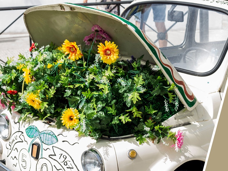 BlackBox Classic Parts GmbH aus Wees