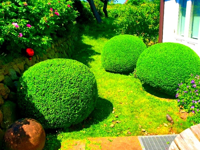 GK Gartenkunst und aus Sylt