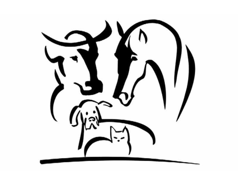 Tierarztpraxis Dr. Thomas Montag in Risum Lindholm - Logo