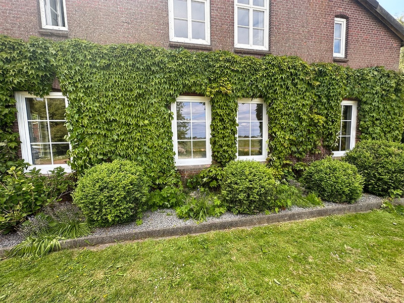Parkett & Montageservice Börchers aus Wesselburen Parkett & Montageservice Börchers aus Wesselburen